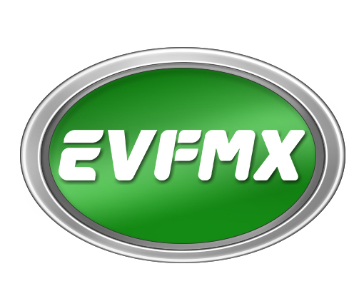 FMX Electric Vehicle