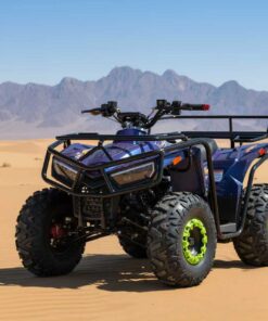 Electric ATV